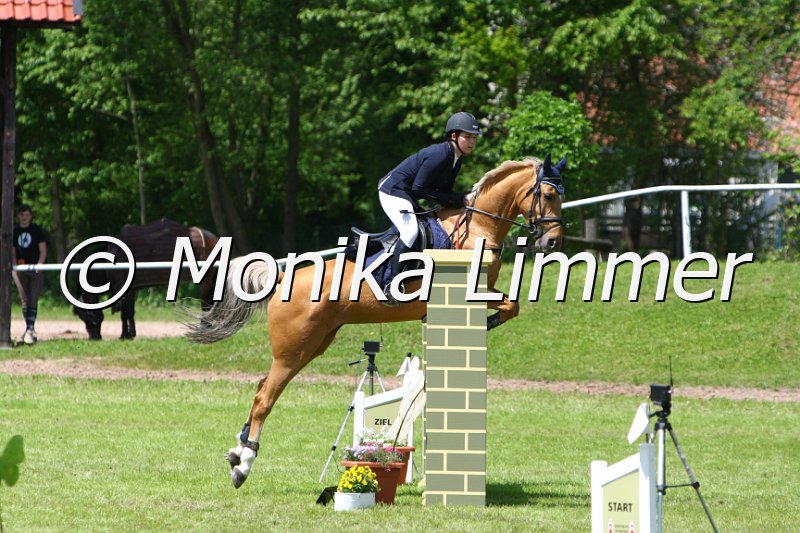 005M4960_Bonita_L Springen.JPG